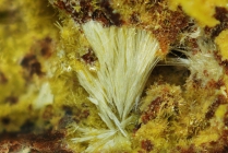 Baryt-faserig-3.Generation-135