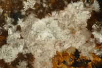 Churchit-Y Menzenschwand-139