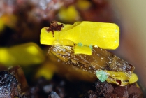 Dewindit,Renardit-157