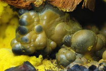 Pechblende mit Überzug-223