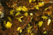 Phosphuranylit Menzenschwand-237