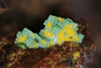 Phosphuranylit-Torbernit-257