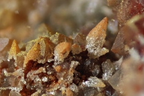 Quarzperimorphose nach Calcit-277