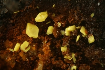 Soddyit Menzenschwand-299