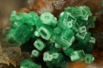 Torbernit Menzenschwand-313