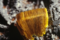 Arsenuranospathit-81