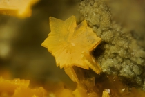 Billietit Menzenschwand-99