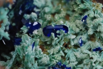 Azurit -4 Malachit - Cavo