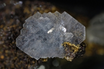 Baryt -3 Rio Marina - Valle Giove