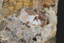 Calcit -3a auf Pyrit - Calamita