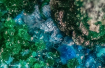 Connellit -2 Calamita, Elba, 3mm 4a