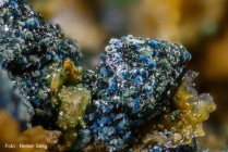 Connellit -3 Cuprit Calamita, Elba, 2mm 3