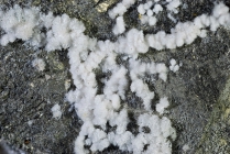 Epsonit - Rio Marina