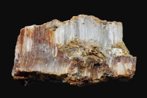 Fasergips - Calamita