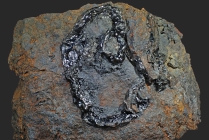 Goethit -2 auf Hämatit - Calamita