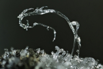 Halotrichit -1 Rio Marina