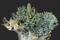 Prasem -1 Porticciolo