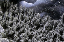 Pyrolusit, Clara, 4mm