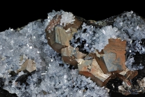 Quarz -2 Pyrit - Terra nera