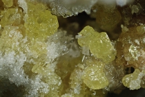 Schwefel -2 Calamita