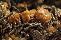 Siderit -4 Magnetit - Calamita