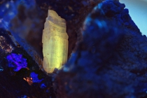 UV-4 Cesussit im LW UV Licht